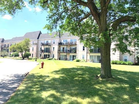 5400 Carriageway Dr #202, Rolling Meadows, IL 60008 photo 5