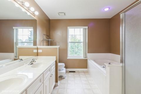 253 Gregory M Sears Dr, Gilberts, IL 60136 photo 11