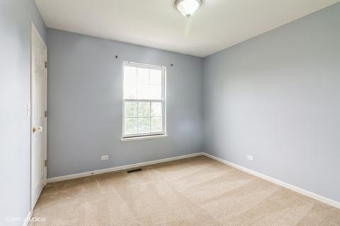 253 Gregory M Sears Dr, Gilberts, IL 60136 photo 14