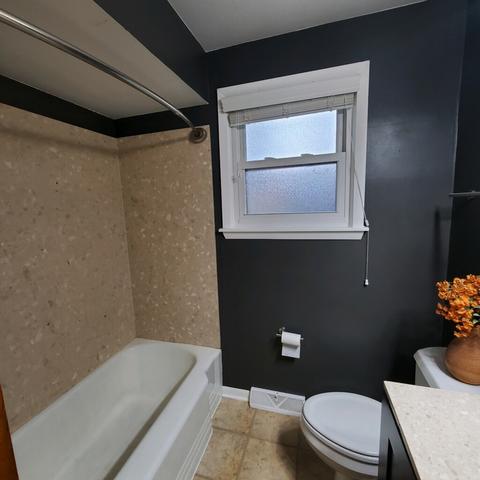 616 Spring St, Roselle, IL 60172 photo 11