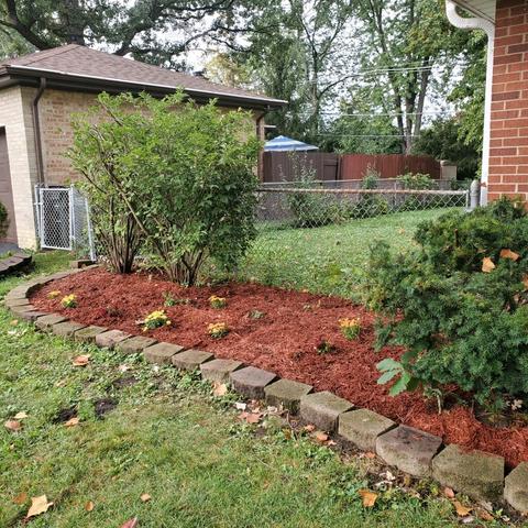 616 Spring St, Roselle, IL 60172 photo 4