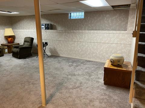 616 Spring St, Roselle, IL 60172 photo 24