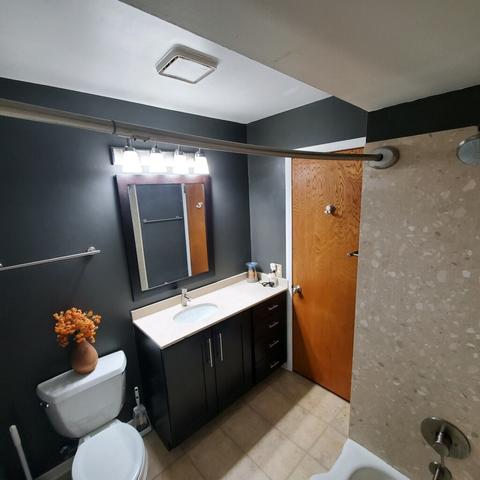 616 Spring St, Roselle, IL 60172 photo 10