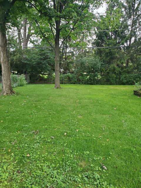 616 Spring St, Roselle, IL 60172 photo 25