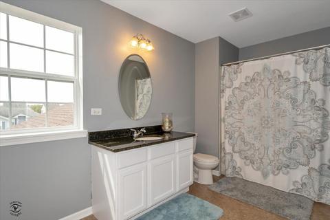 220 Bald Eagle Ln, Beecher, IL 60401 photo 26