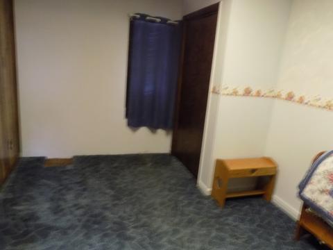 213 E North St, Forrest, IL 61741 photo 17