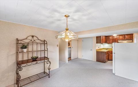 4 N162 Maple Ave, Addison, IL 60101 photo 19