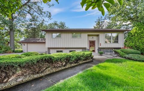 4 N162 Maple Ave, Addison, IL 60101 photo 1