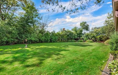 4 N162 Maple Ave, Addison, IL 60101 photo 33