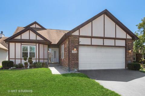 21055 W Hazelnut Ln, Plainfield, IL 60544 photo 1