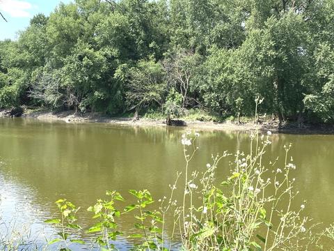 1175 E 5000 S Rd, Saint Anne, IL 60964 photo 41