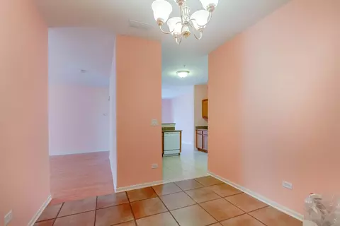 3809 Traditions Dr, Olympia Fields, IL 60461 photo 14