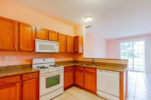 3809 Traditions Dr, Olympia Fields, IL 60461 photo 12