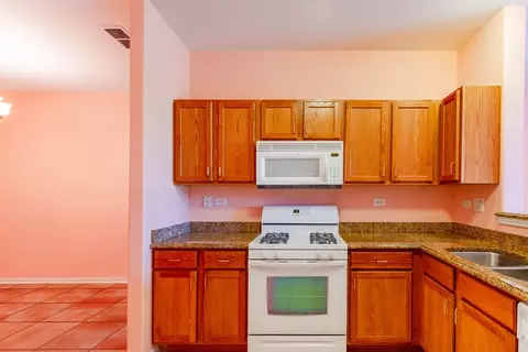 3809 Traditions Dr, Olympia Fields, IL 60461 photo 13
