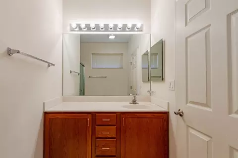 3809 Traditions Dr, Olympia Fields, IL 60461 photo 23
