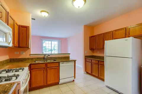 3809 Traditions Dr, Olympia Fields, IL 60461 photo 11
