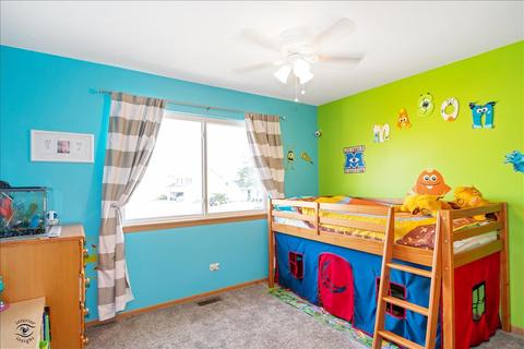26249 S Plum Tree Ln, Monee, IL 60449 photo 19