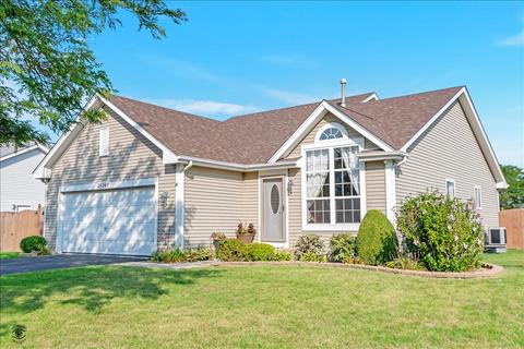 26249 S Plum Tree Ln, Monee, IL 60449 photo 1