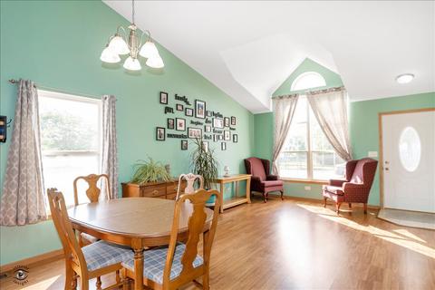 26249 S Plum Tree Ln, Monee, IL 60449 photo 11