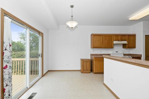 21348 W Douglas Ln, Plainfield, IL 60544 photo 19