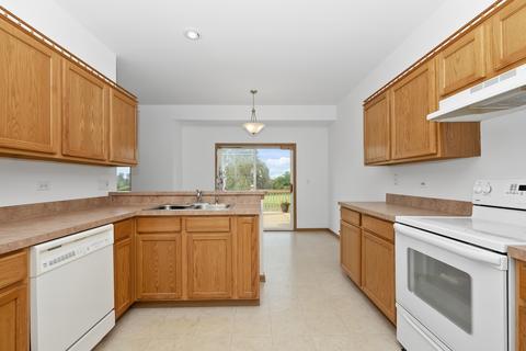 21348 W Douglas Ln, Plainfield, IL 60544 photo 16