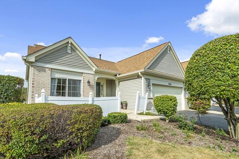 21348 W Douglas Ln, Plainfield, IL 60544 photo 3