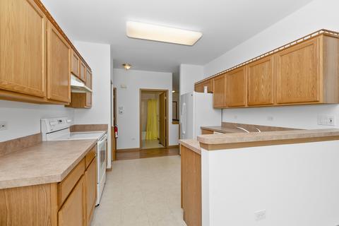 21348 W Douglas Ln, Plainfield, IL 60544 photo 18