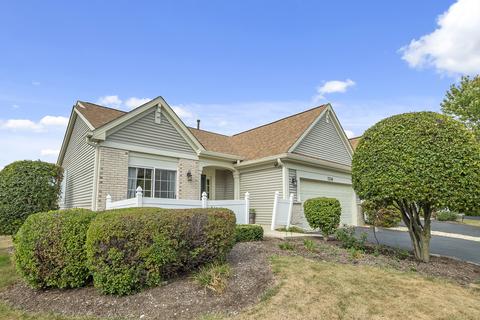 21348 W Douglas Ln, Plainfield, IL 60544 photo 1