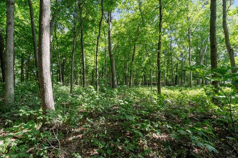 3000 Benson Rd, Morris, IL 60450 photo 56