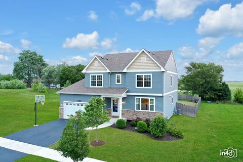 13523 S Carmel Blvd, Plainfield, IL 60544 photo 1