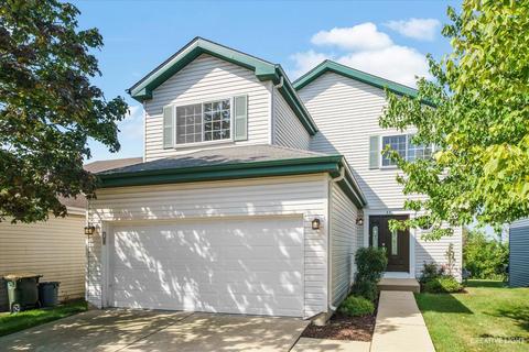 33 Bridgeview Dr, Oswego, IL 60543 photo 1
