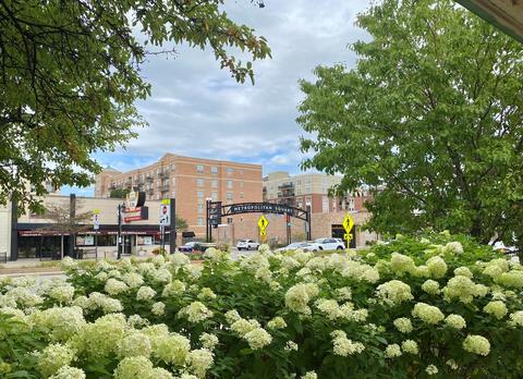 1600 E Thacker St #409, Des Plaines, IL 60016 photo 43