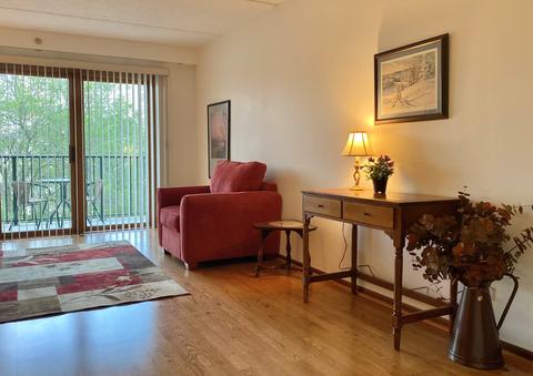 1600 E Thacker St #409, Des Plaines, IL 60016 photo 9