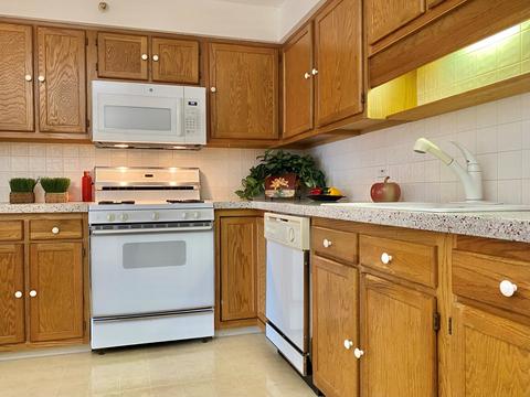 1600 E Thacker St #409, Des Plaines, IL 60016 photo 13