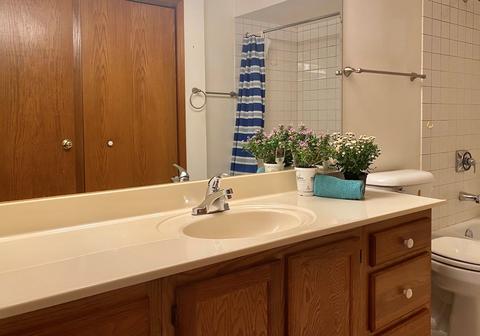 1600 E Thacker St #409, Des Plaines, IL 60016 photo 19