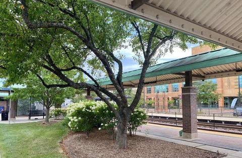 1600 E Thacker St #409, Des Plaines, IL 60016 photo 46