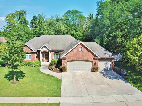 1043 Forest View Dr, Morris, IL 60450 photo 1