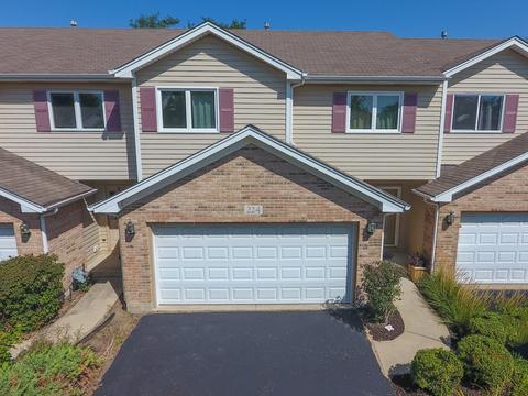 224 Conley Dr, Elburn, IL 60119 photo 27
