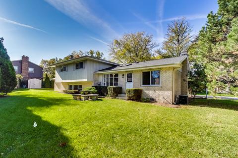 689 S Poplar Ave, Elmhurst, IL 60126 photo 47