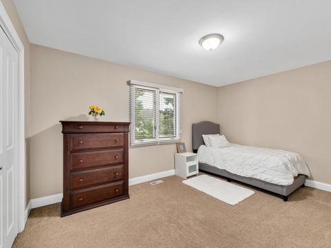 737 Spring St, Roselle, IL 60172 photo 18