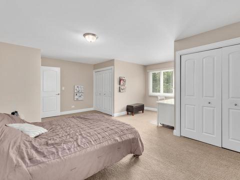 737 Spring St, Roselle, IL 60172 photo 20