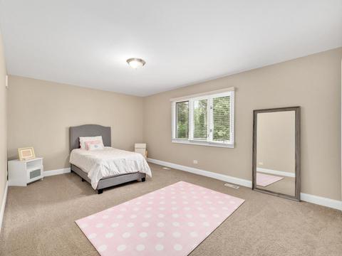 737 Spring St, Roselle, IL 60172 photo 19