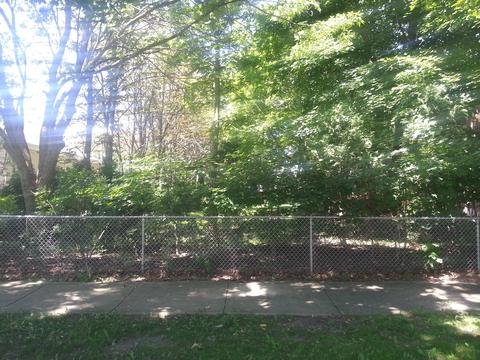 1356 E Lincoln Ave, Des Plaines, IL 60018 photo 3