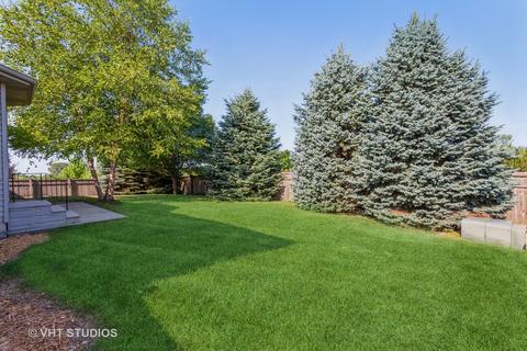 16438 S Mueller Cir, Plainfield, IL 60586 photo 2
