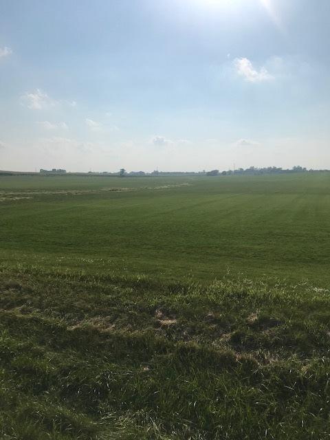 24890 W Center Rd S, Frankfort, IL 60423