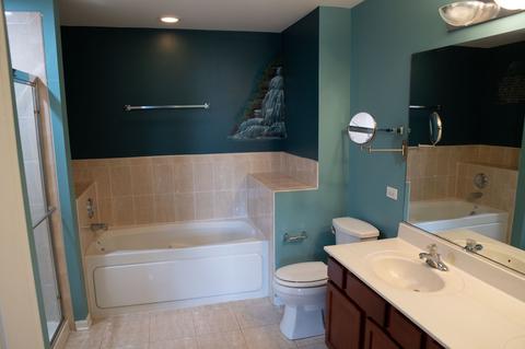 24130 Walnut Cir, Plainfield, IL 60585 photo 35