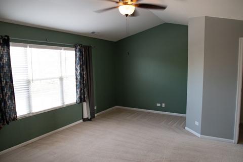 24130 Walnut Cir, Plainfield, IL 60585 photo 37