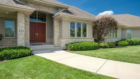 825 Olson Spring Close, Belvidere, IL 61008 photo 5