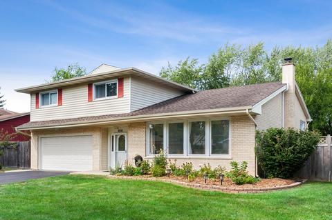 906 Garden Ln, Wheeling, IL 60090 photo 1