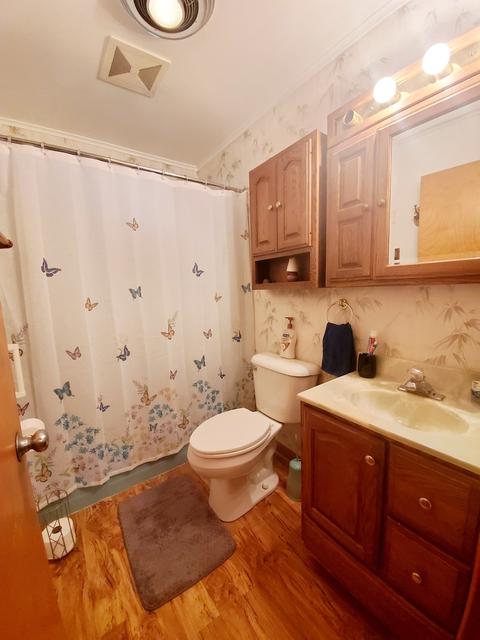 307 E Fine St, Ashkum, IL 60911 photo 20